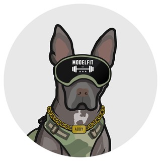 MODELFIT dog logo
